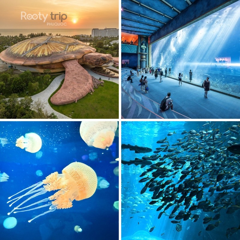 vinwonders phu quoc reviews