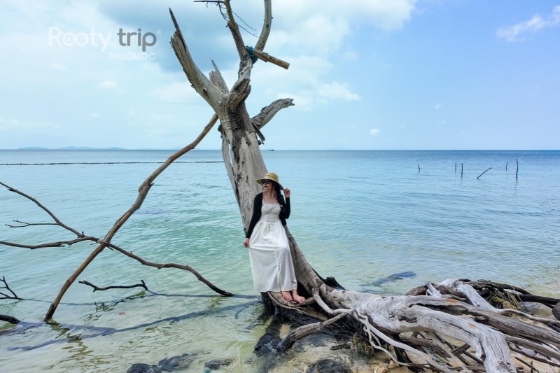 Best photo spots at Starfish Beach Phu Quoc