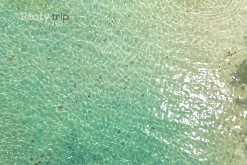 Starfish Beach Phu Quoc