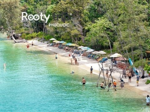 Starfish Beach Phu Quoc 2026: A Local’s Secret Guide