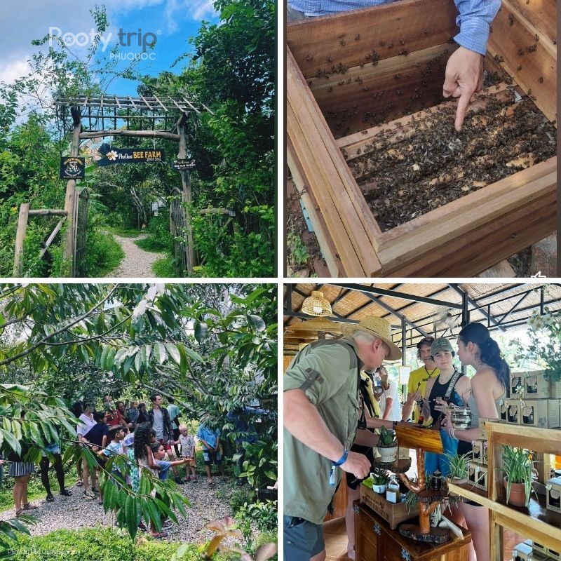 Phu Quoc honey shop