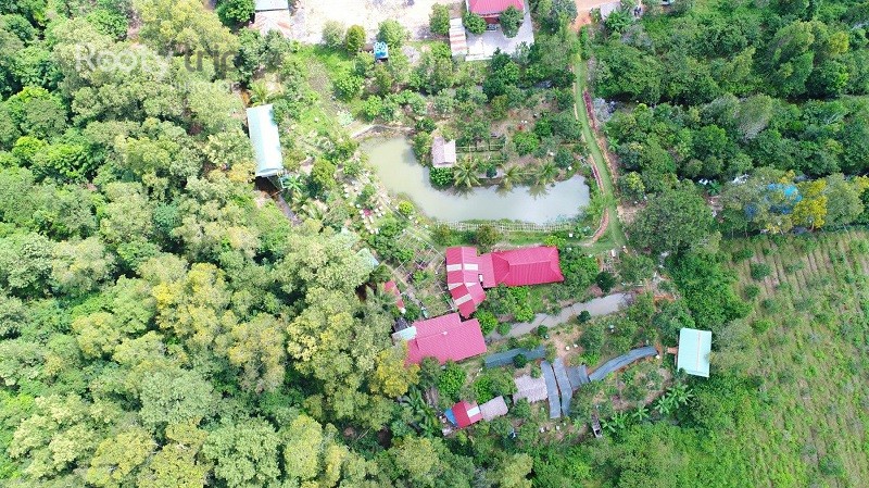 Phu Quoc honey farm visit