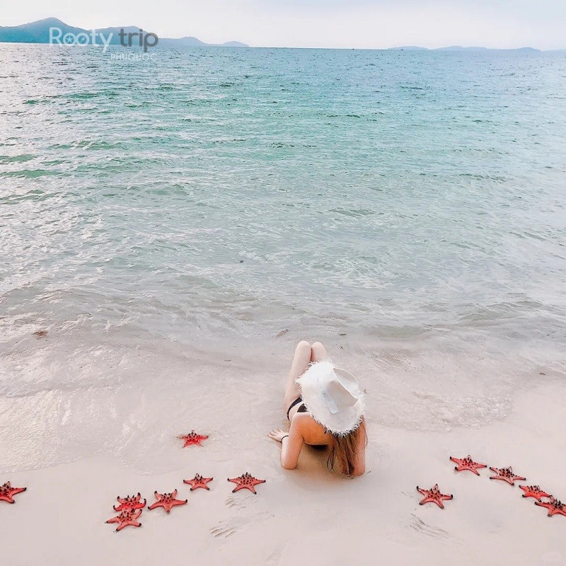 are starfish poisonous