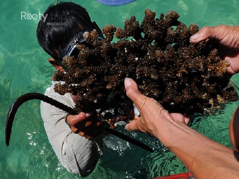 Do not stand or step on coral