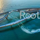 Hon thom cable car & buffet with island tour