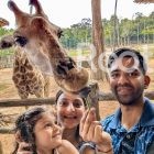 giraffe restaurant