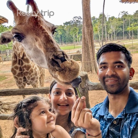 giraffe restaurant