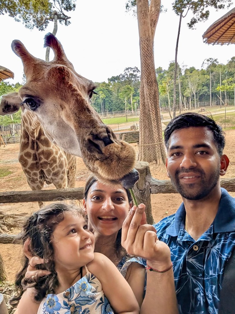 giraffe restaurant
